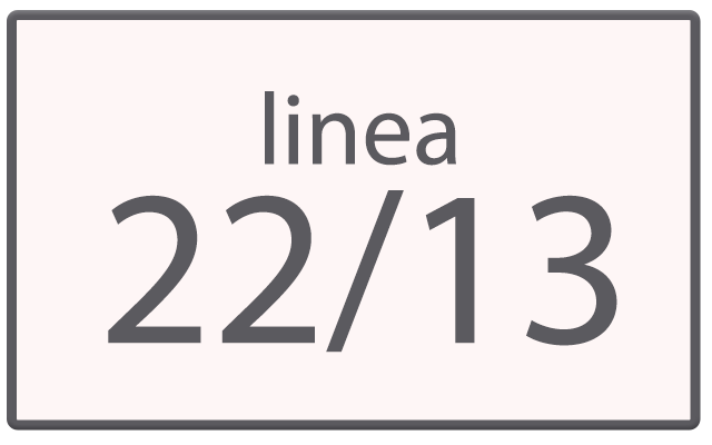 LINEA 22